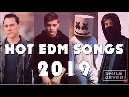 Best Edm Songs 2019 Top 15 Hot Songs Will Make You Surprise Alan Walker Martin Garrix Tiesto