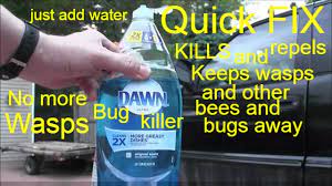 If you want to keep wasps away or discourage them from building nests in specific areas, natural repellent sprays are a great choice. How To Keep Bees Away Youtube