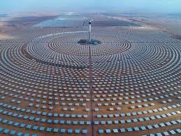 Image result for Solar plants