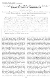 Image result for Pellaea longipilosa