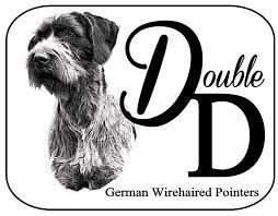Maybe you would like to learn more about one of these? Breeder Listing German Wirehaired Pointer Club Of America