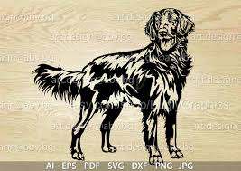 Image result for flat coated retrívr