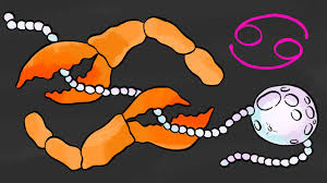 Inform yourself about the role viruses play in contributing to cancer. July Horoscope 2018 What Cancer Season Has In Store For Queer Folks Them