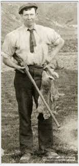 MORSE FAMILY CONNECTION