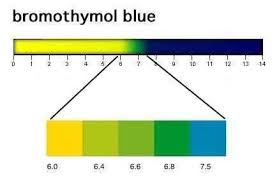 Bromothymol Blue Alchetron The Free Social Encyclopedia