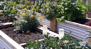 You can practice crop rotation in a garden of any size. Crop Rotation Guide