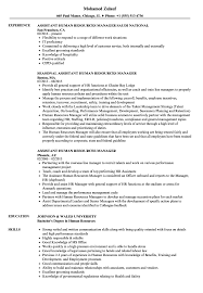 It would be my constant endeavor to work for the betterment of the organization and help it excel to greater heights. Assistant Human Resources Manager Resume Samples Velvet Jobs