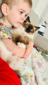 This cat has a lot of patience 😂❤️🌺