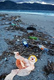 Image result for guy with blow up doll in ocean