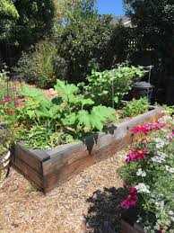 Plants can attract beneficial insects and pollinators, deter pests, and thus act as insect repellants. Garden Mastery Companion Planting Folklore Or Scientific Fact The San Diego Union Tribune