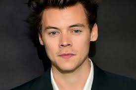 Harry Styles stalker: Homeless man told to keep away from star