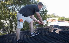 Our visual pest inspection and report is in accordance with australian standard (as 4349.3). 6 Things To Consider During A Building And Pest Inspection Conveyancing Com Au