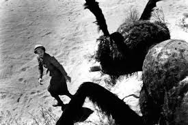 They, them, he and she are personal pronouns. 1954 Sci Fi Movie Them Top 10 Killer Animal Movies Time Com