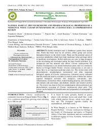 Image result for Cleome iberidella