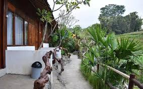 Check spelling or type a new query. Tarif Dan Fasilitas Homestay Taman Dolan Batu Penginapan Net 2021