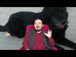 Ruyada Kopek Gormek Youtube