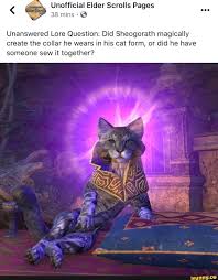 38 Mins 6 Unanswered Lore Question Did Sheogorath Magically Create The Collar He Wears In His Cat Form Or Did He Have Someone Sew It Together Ifunny Skyrim Funny
