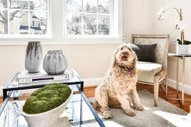 MANOR HOUSE APARTMENTS