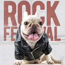Leather Motorcycle Dog Jacket Dog Jacket Small Dog Clothes Small Dog Costumes