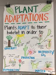 Plant Adaptations Anchor Chart Science Anchor Charts Plant Adaptations Anchor Chart Plant Adaptations