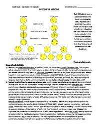 If the parent cell starts with 24 chromosome and undergoes mitosis, then how many will the daughter cells have? Mitosis Reading Worksheets Teaching Resources Tpt