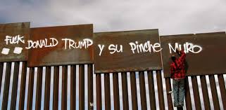 A este patio le vendría bien un poco de cariño. Trump Nunca Tuvo Interes Por El Patio Trasero