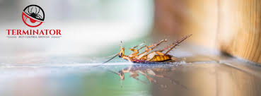 Sterling pest control is provides pest control services in thane, mumbai. Terminator Pest India Pvt Ltd 44 Photos Pest Control Service 113 114 Crown Square Ghandi Path Vaishali Nagar Jaipur Jaipur Rajasthan India 302012
