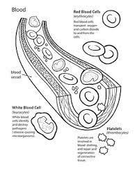 When planning a design project destined for commercial printing, use cmyk formulations for blood red in your page layout software or select a. Coloring Pages Blood Worksheet Coloring Pages