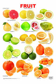 Citrus Fruit Chart Fruit Citrus Fruit List Learn English