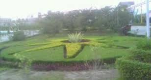 Pest control professionals is considered as a leading pest control service provider in dehradun, uttarakhand. Vatica Pest Control Services Haridwar Rishikesh Dehradun Address Guru