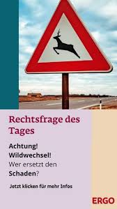 Maybe you would like to learn more about one of these? Achtung Wildwechsel Wildwechsel Wildunfall Wild