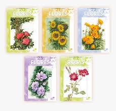 Hd 0:18 albero pianta legnosa. Maimeri Fiori Bouquet Hd Png Download Transparent Png Image Pngitem