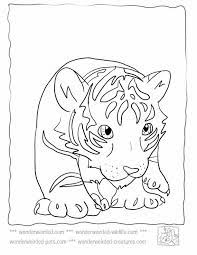 Cute animal coloring pages are a fun way for kids of all ages, adults to develop creativity, concentration, fine motor skills, and color recognition. Cute Baby Tiger Coloring Pages Coloring Home