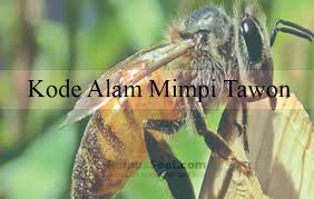 Maybe you would like to learn more about one of these? Kode Alam Mimpi Tawon Menurut Erek Erek Dan Primbon Jawa