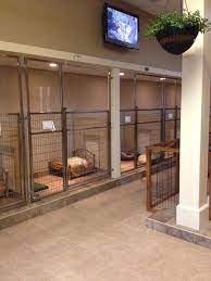 Dog And Large Animal Custom Enclosures Masonco Dog Kennel Dog Boarding Kennels Dog Rooms