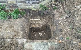 We did not find results for: Do Rats Burrow Under Foundations Pestology