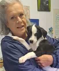 Rescue dogs rescue us! 🙌❤️