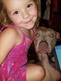 JAMES GRAVES Obituary (2017)