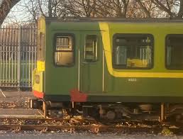 Image result for Brown 1984 Fleet