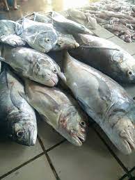 Azərbaycana minalanmış ərazinin kiçik hissəsinin xəritəsini vermişik. Ikan Putih Rm Pembekal Ikan Segar Area Kota Kinabalu Facebook