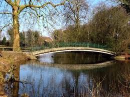 Botanischer garten rombergpark fica em dortmund. Garten Und Parks In Westfalen Lippe Garten In Westfalen Dortmund Botanischer Garten Rombergpark
