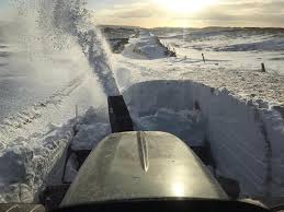 Image result for Tan 2021 Fleet