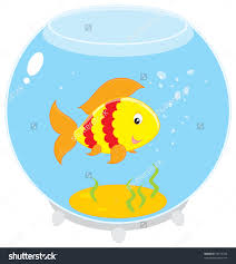 نتيجة بحث الصور عن ‪aquarium clipart‬&rlm;