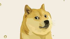 Elon musk stans have their own dating app for tesla owners read: It Was Created As A Joke But Now Has A Market Capitalisation Above Us 70 Billion What Is It Dogecoin Of Course Interest Co Nz