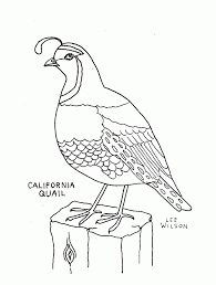 Over 886 cartoon quail pictures to choose from, with no signup needed. Quail Coloring Pages Coloring Home