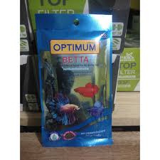 Betta splendens (commonly known as the siamese fighting fish or betta) is a freshwater fish that can be found in cambodia, laos, malaysia, indonesia, thailand, and vietnam. Optimum Betta Online