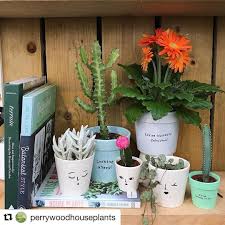Perrywood Garden Centre