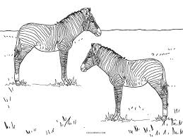 In this site you will find a lot of coloring pages in many kind of pictures. Free Printable Zebra Coloring Pages For Kids