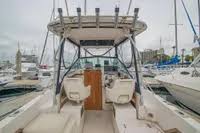 Image result for White 1990 Fleet