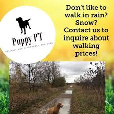 We did not find results for: Puppy Pt Offers Reliable And Affordable Dog Care Services Dog Walker Pet Sitter In Hillsburgh On Petsitter Com